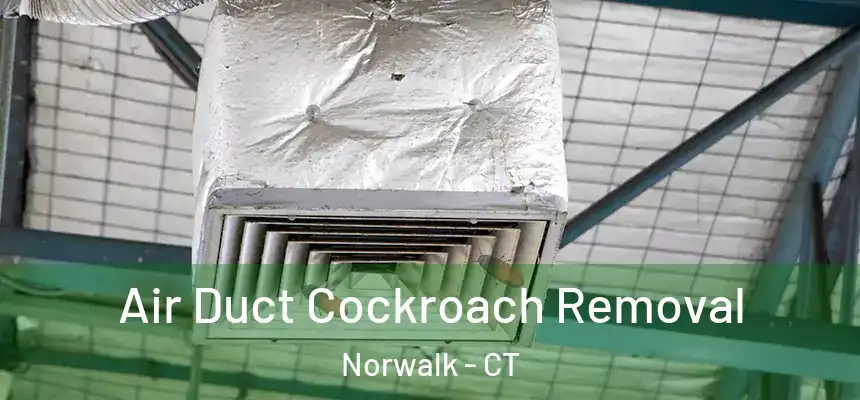 Air Duct Cockroach Removal Norwalk - CT