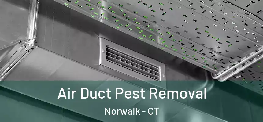 Air Duct Pest Removal Norwalk - CT