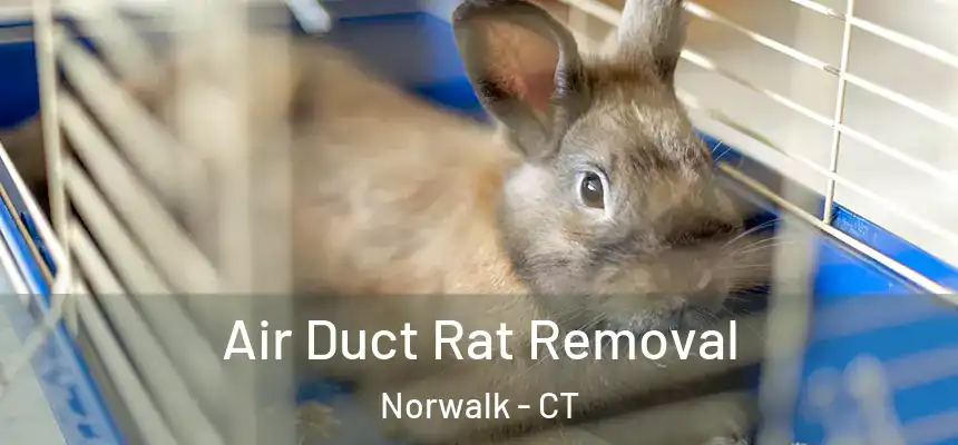 Air Duct Rat Removal Norwalk - CT