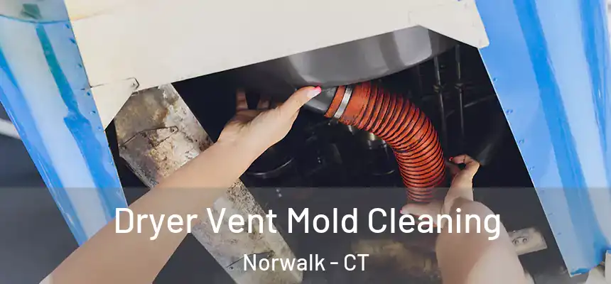 Dryer Vent Mold Cleaning Norwalk - CT