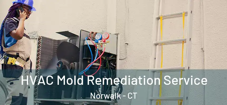 HVAC Mold Remediation Service Norwalk - CT
