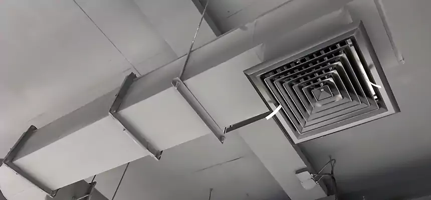 Our Pest Removal From Ducts Services in Norwalk, CT