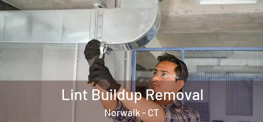 Lint Buildup Removal Norwalk - CT