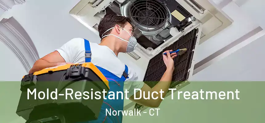 Mold-Resistant Duct Treatment Norwalk - CT