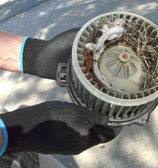 About Air Duct Rat Removal in Norwalk, CT