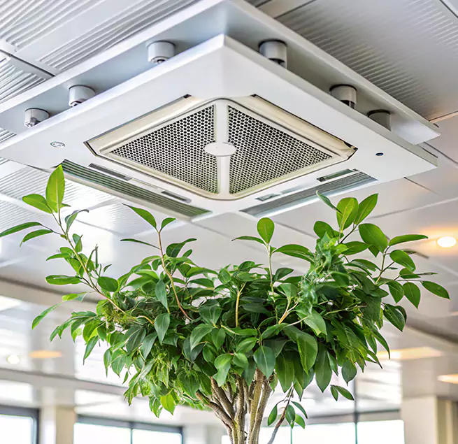 Why Homeowners & Businesses Trust Us in Norwalk, CT